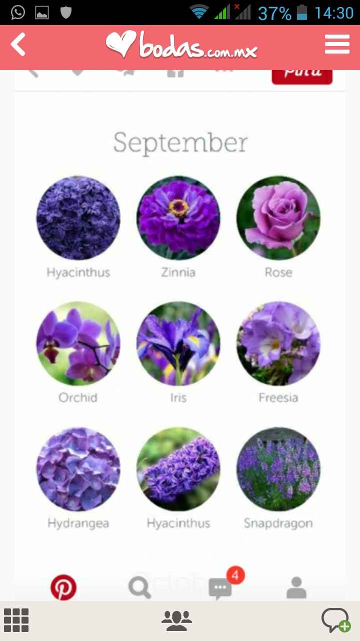 Tipos de flor 2