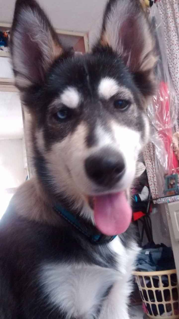 foto pal face!!!!! jajajajaj