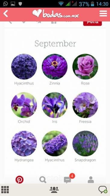 Tipos de flor 2
