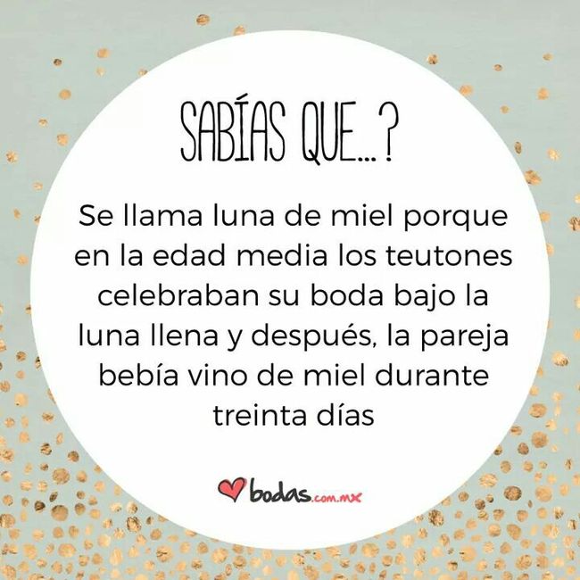 Sabias que ?? - 15