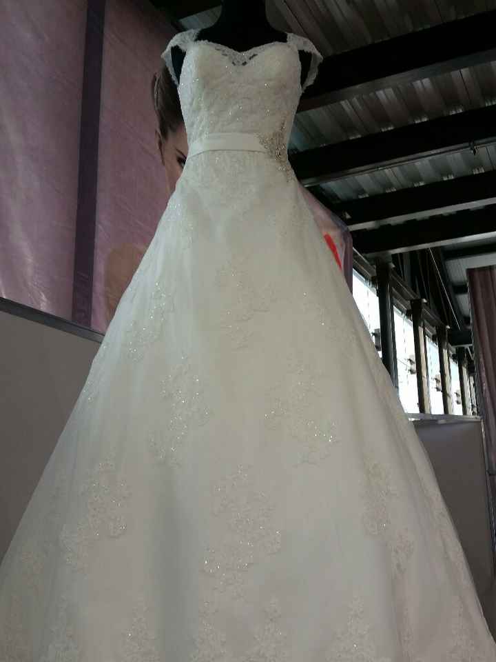Vestido hermoso... demasiado dinero ! - 1