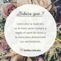 Sabias que ?? - 4