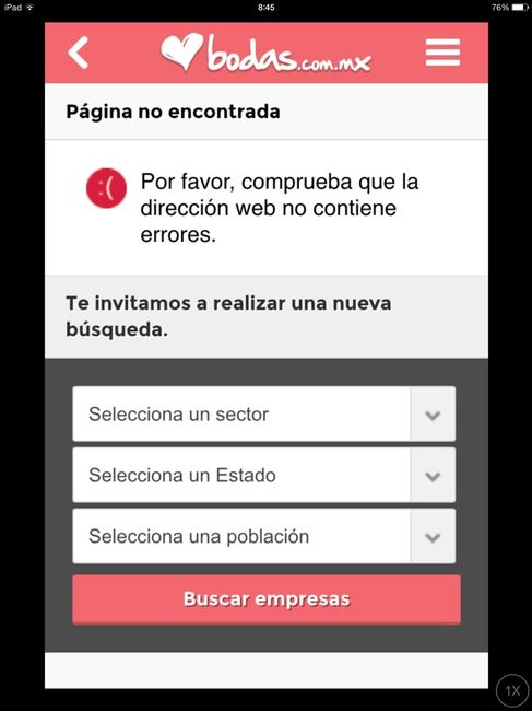 Mi web de boda: guía rápida! - 1