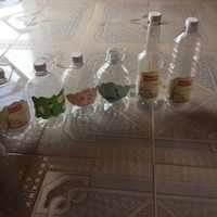 Organizando tonilistle!!! - 1