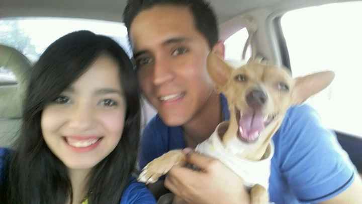 Foto con tu mascota - 1