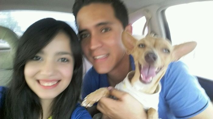 Foto con tu mascota - 1