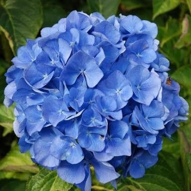 Centro de mesa al fin - 2