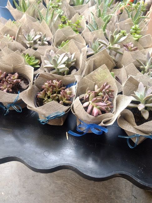 Recuerdos 🌿🌱 - 3