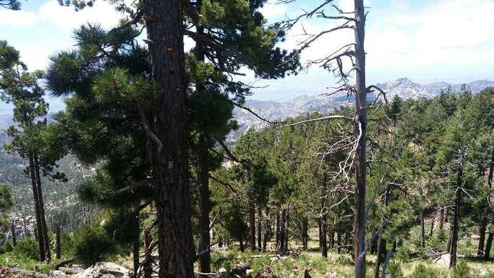 Listo ya paso el gran día y fue genial - 3