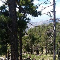 Listo ya paso el gran día y fue genial - 3