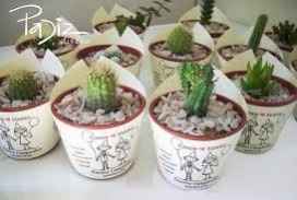 Suculenta 7