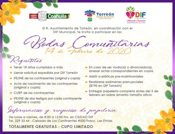 Locuras por amor. 2