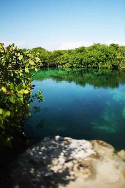 Parque Natural dentro del hotel