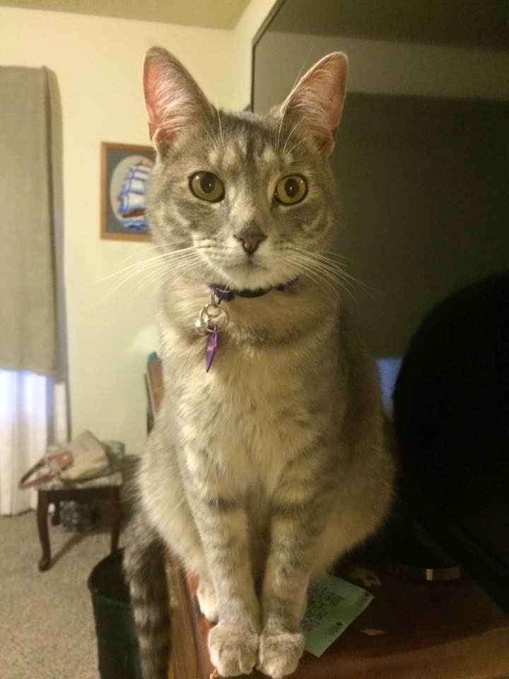 Sally