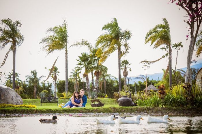 Patitos