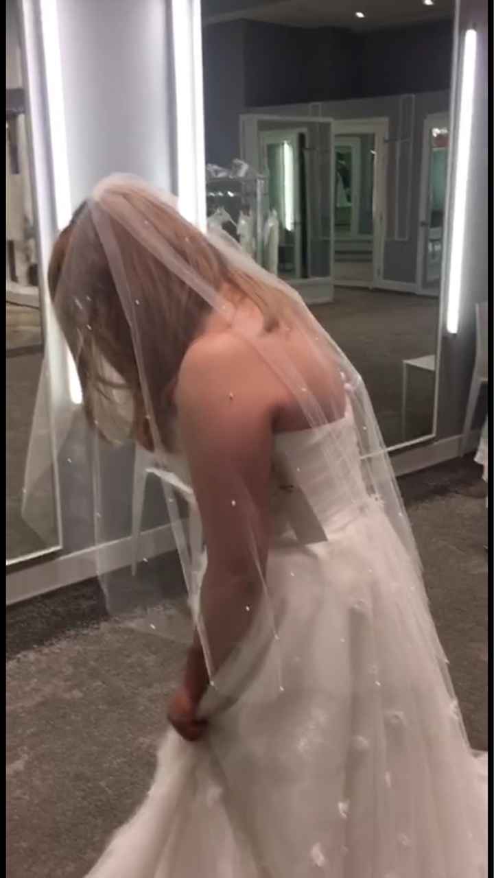 Actualización! Conseguir Velo de Novia - 1