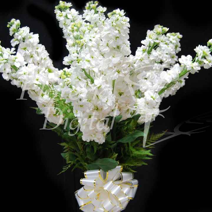 flores boda aleli blanco hermoso novia 