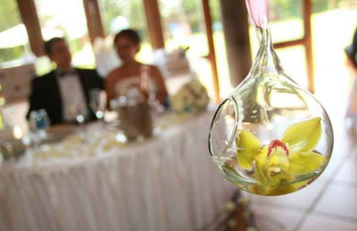 Burbuluz xa decorar - 1