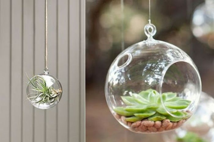 Burbuluz xa decorar - 3