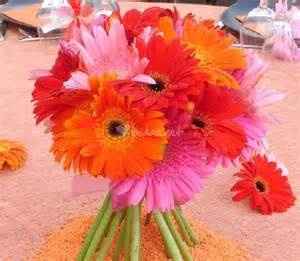 Las gerberas: El amor!