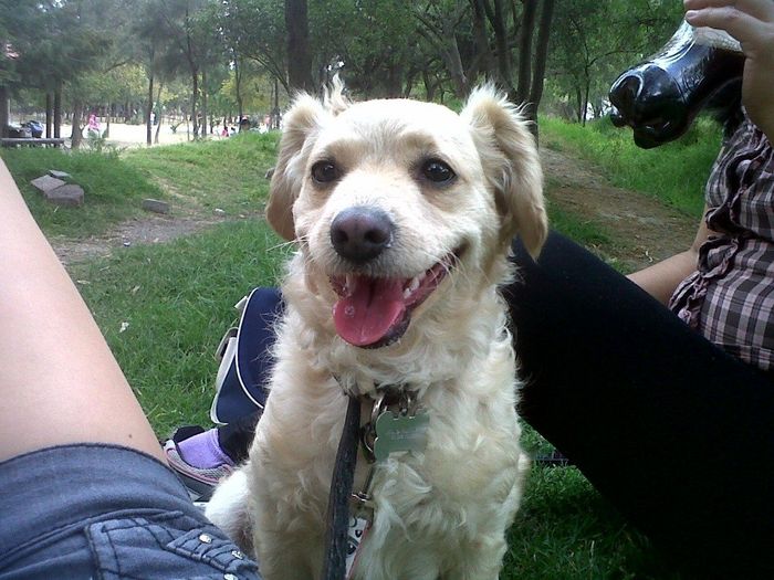 Nena, mi sobrinita consentida