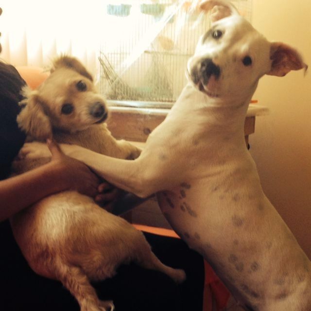 Mis princesas juntas