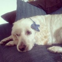 La foto de tu mascota! - 1