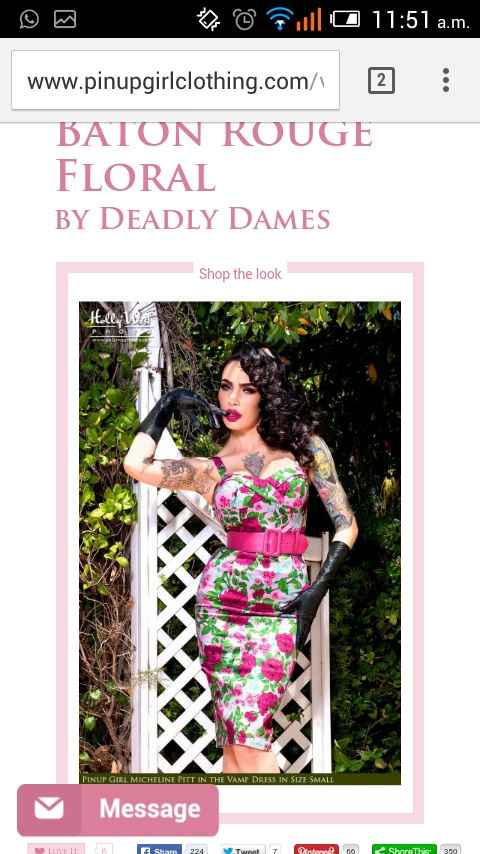 el vestido de las damas