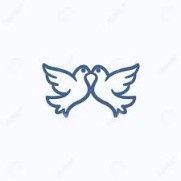Paloma 6
