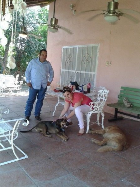 Sesión fotográfica con tu Perro !!! - 2
