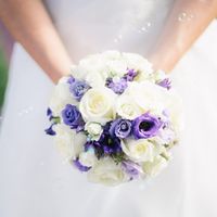Club de la novia morada - 2