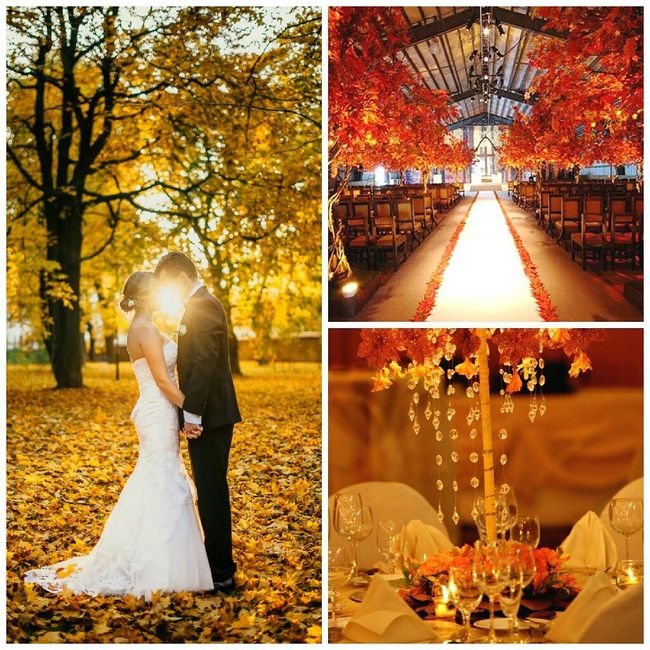 Colores para la boda 17