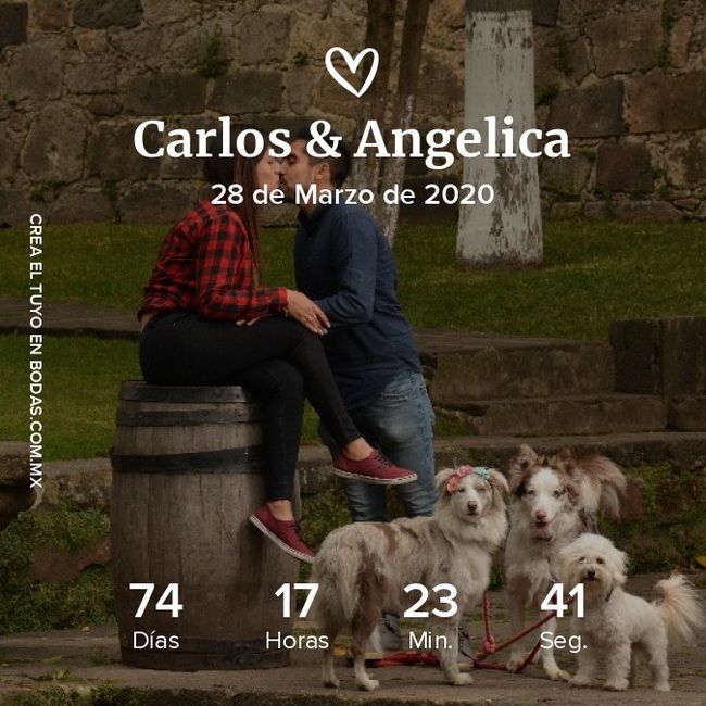 ¡Comparte tu contador 2020! 12