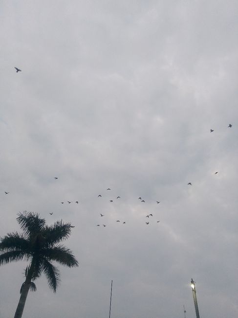 Mi luna de Miel Lesie 1