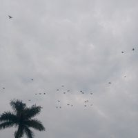 Mi luna de Miel Lesie - 1