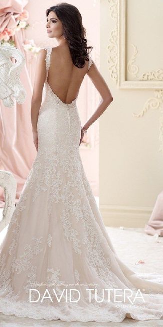 Si tu Fm tuviera que elegir tu vestido de boda.. - 1
