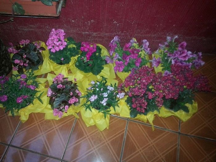 ,acetas centro de mesa