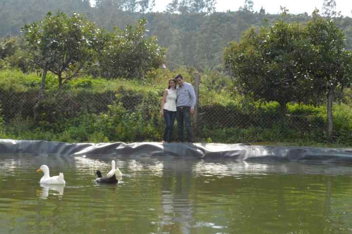 Y la foto con los patos