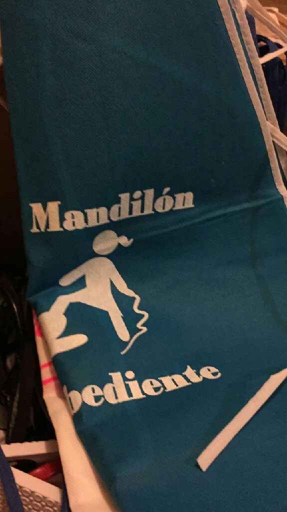 Llego nuestro pedido de festiboda!! - 5