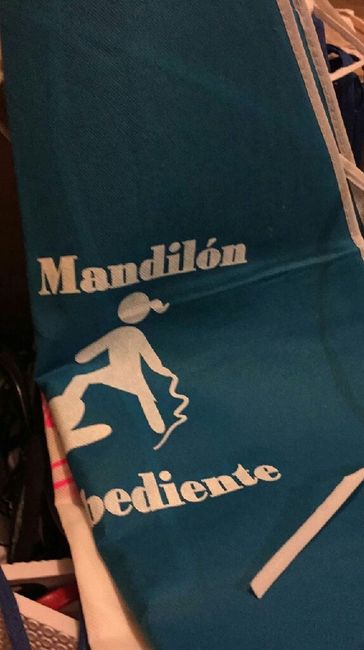 Llego nuestro pedido de festiboda!! - 5