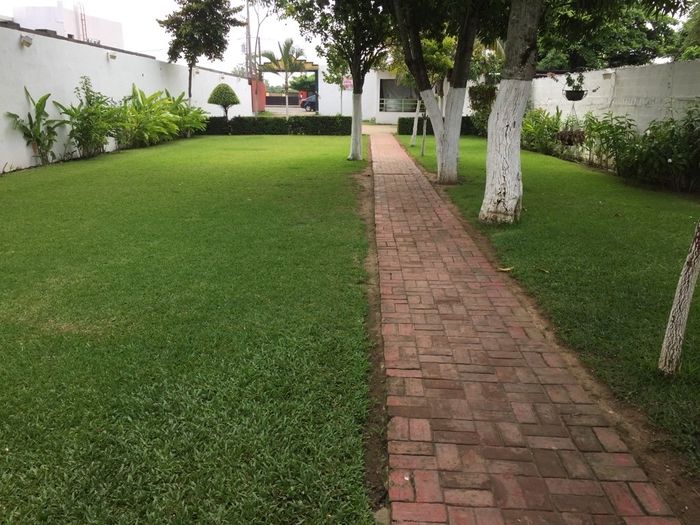 Les comparto mis avances a 45 días! - 2