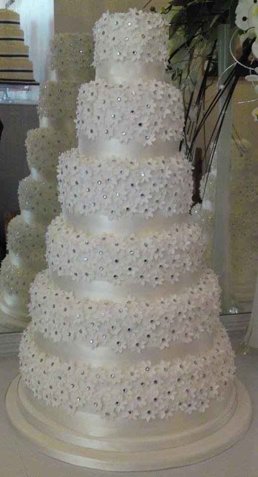 No encuentro el pastel ideal. - 1