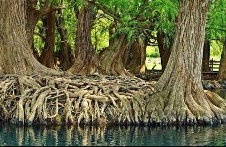 Ayuda para elegir locación para sesión preboda - 1