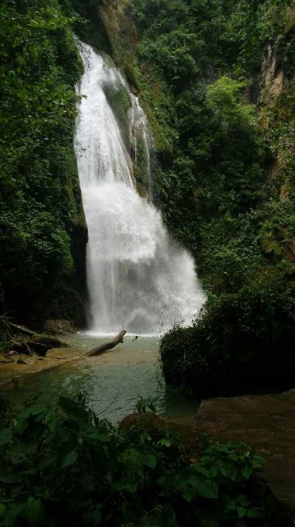 Mascota de honor? - 1