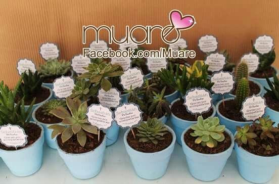 Recuerditos diy ,macetitas - 1