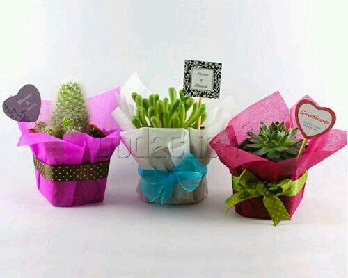 Recuerditos diy ,macetitas - 2