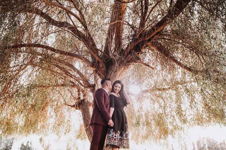 en la sombra del arbolito 