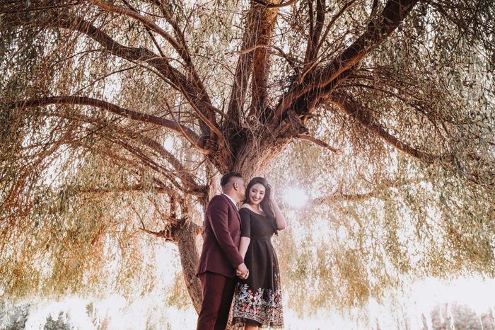 en la sombra del arbolito 