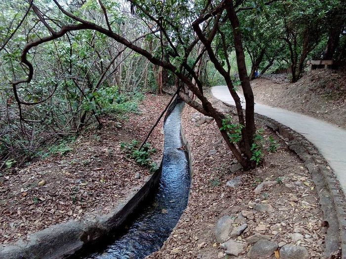 Locaciones en Nuevo León (2) 24