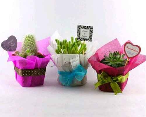 Que doy de recuerdo de boda? - 4